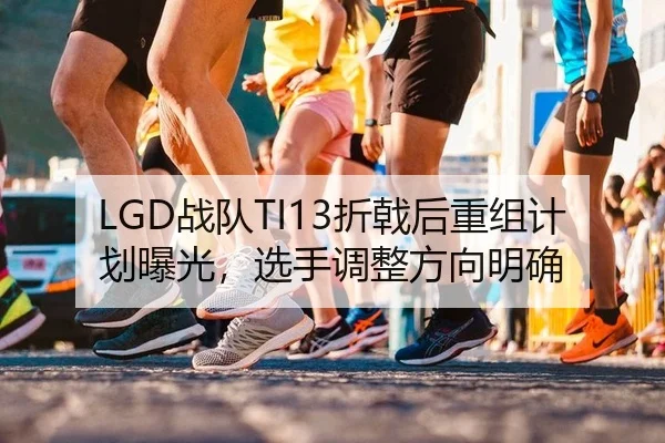 LGD战队TI13折戟后重组计划曝光，选手调整方向明确